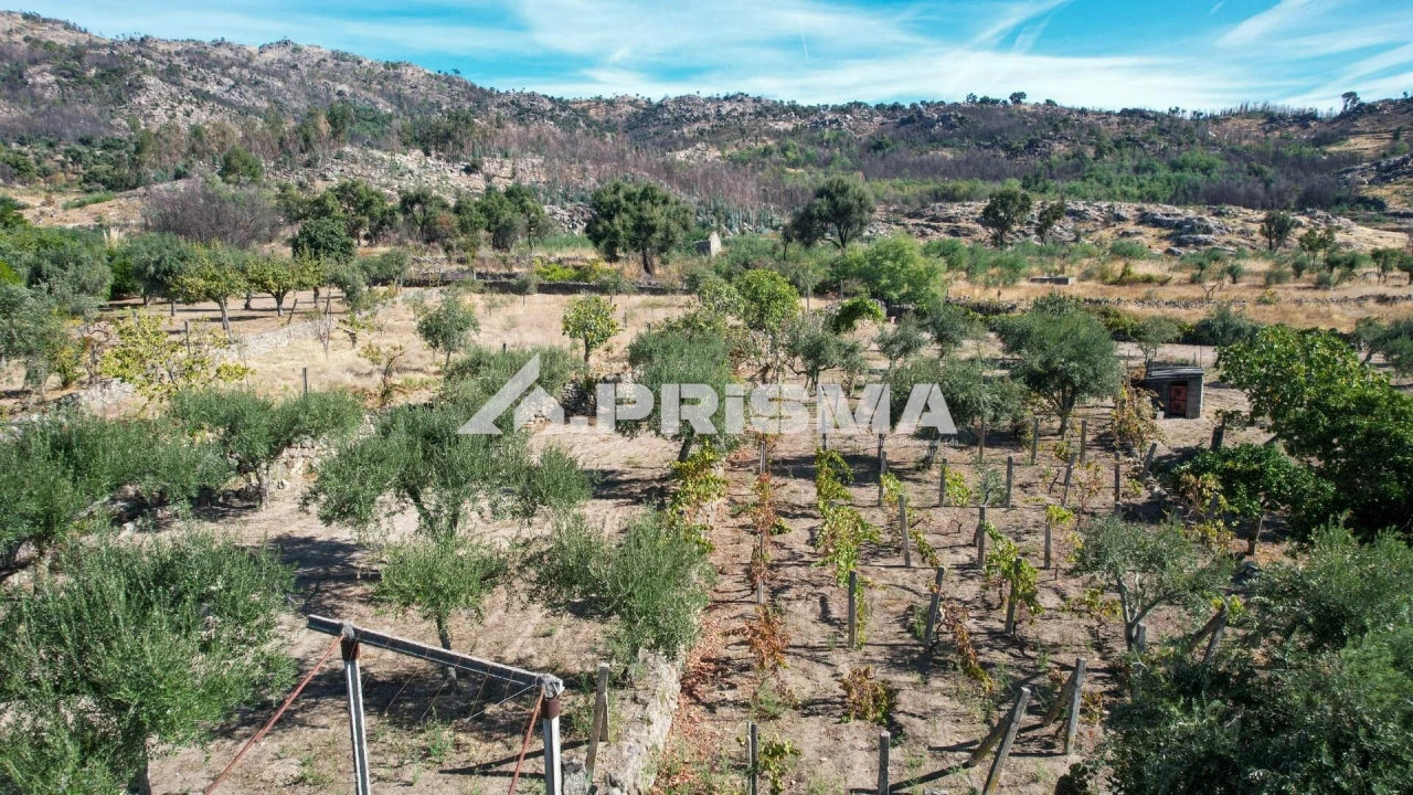 Quinta para Venda em Louriçal do Campo Foto 32