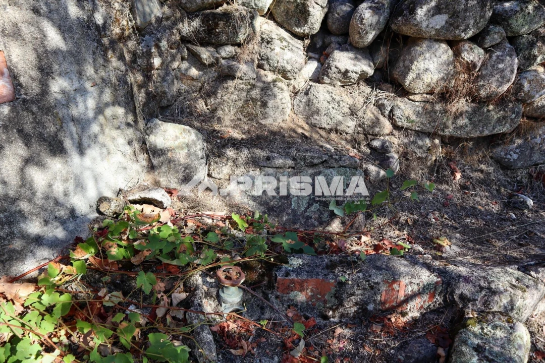 Quinta para Venda em Louriçal do Campo Foto 37