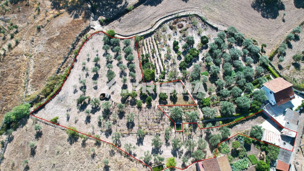 Quinta para Venda em Louriçal do Campo Foto 49
