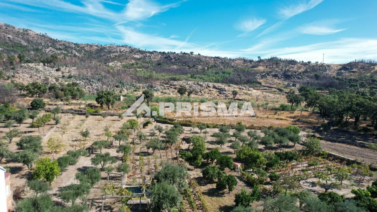 Quinta para Venda em Louriçal do Campo Foto 31
