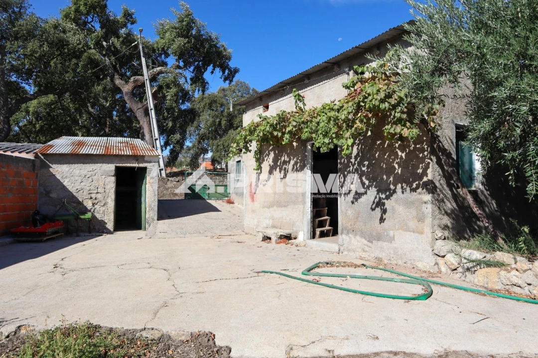 Quinta para Venda em Louriçal do Campo Foto 2