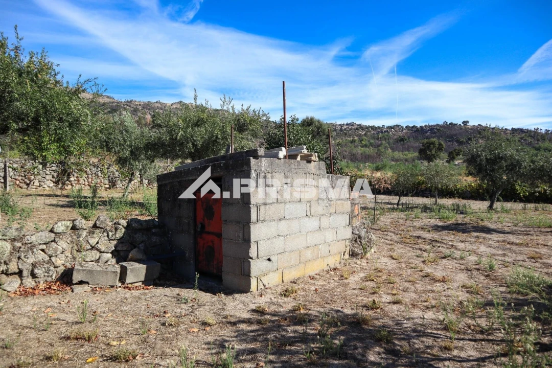 Quinta para Venda em Louriçal do Campo Foto 22