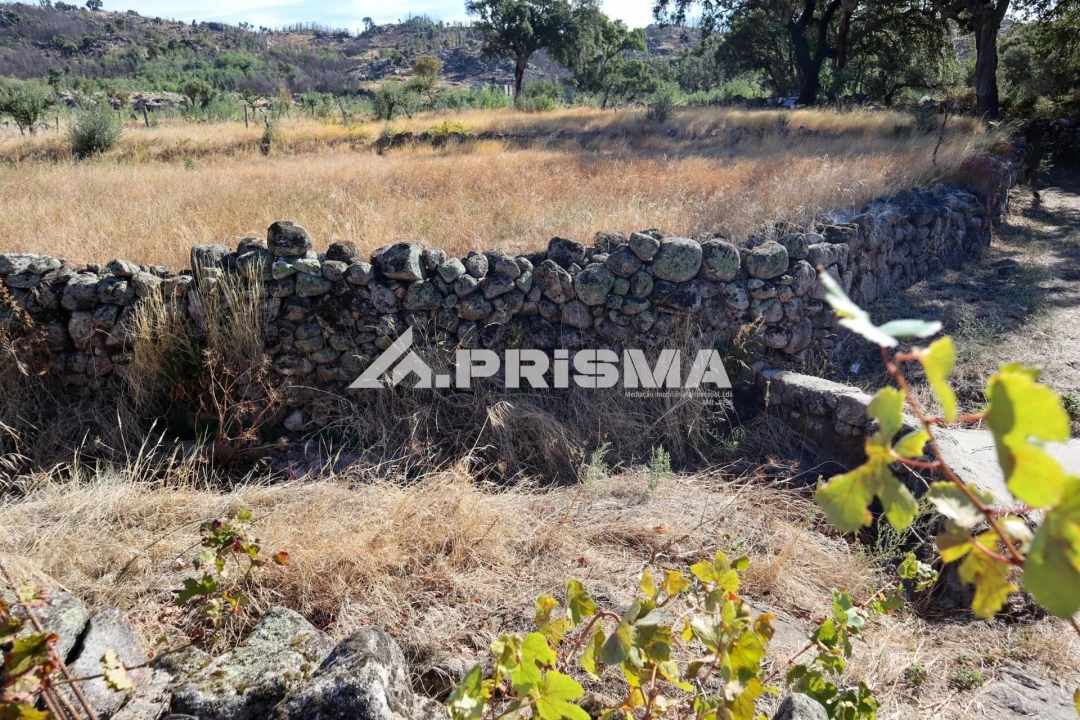 Quinta para Venda em Louriçal do Campo Foto 47