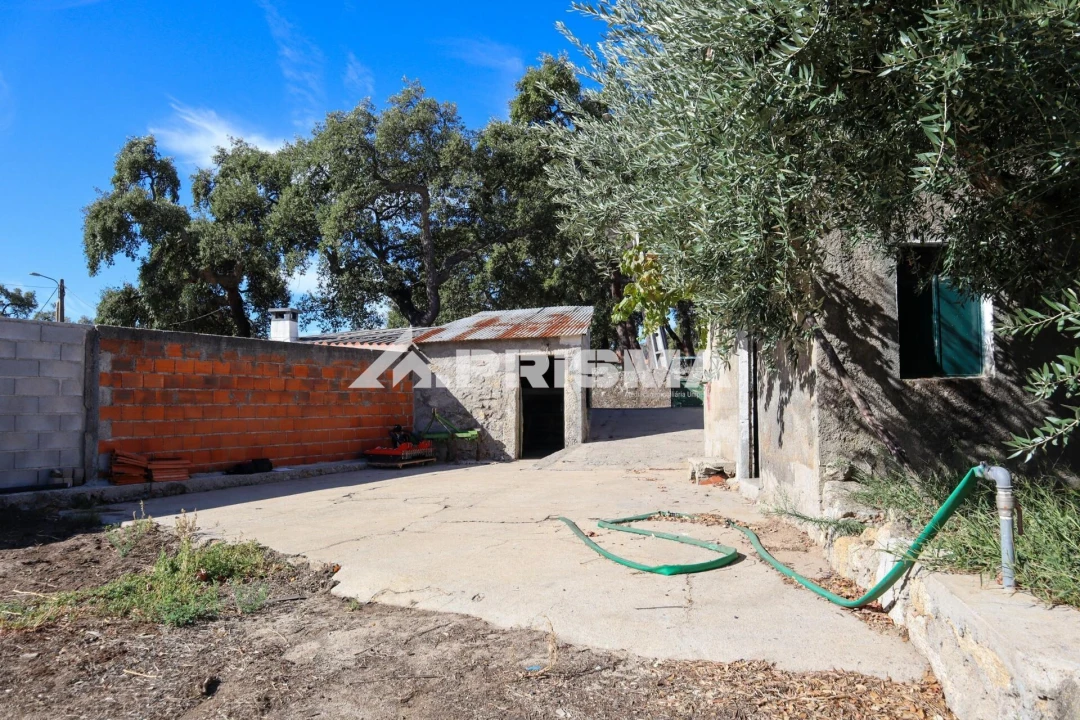 Quinta para Venda em Louriçal do Campo Foto 41