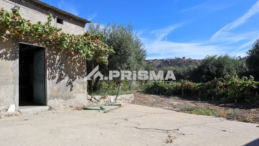 Quinta para Venda em Louriçal do Campo