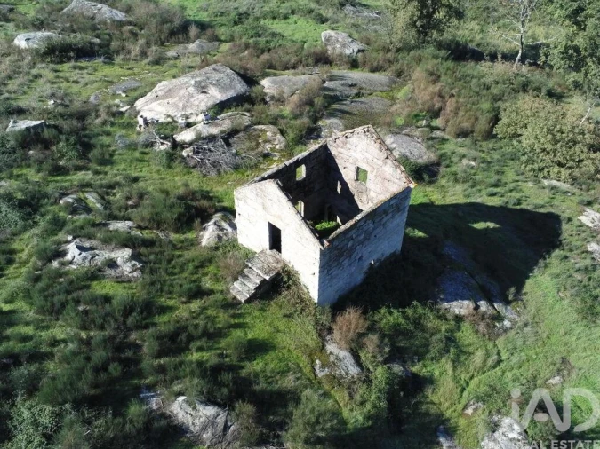 Quinta para Venda em Lagos da Beira e Lajeosa Foto 8