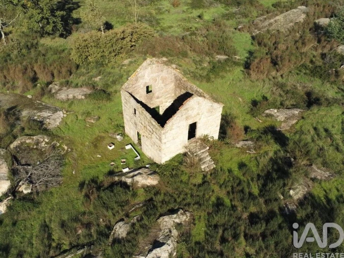 Quinta para Venda em Lagos da Beira e Lajeosa Foto 5
