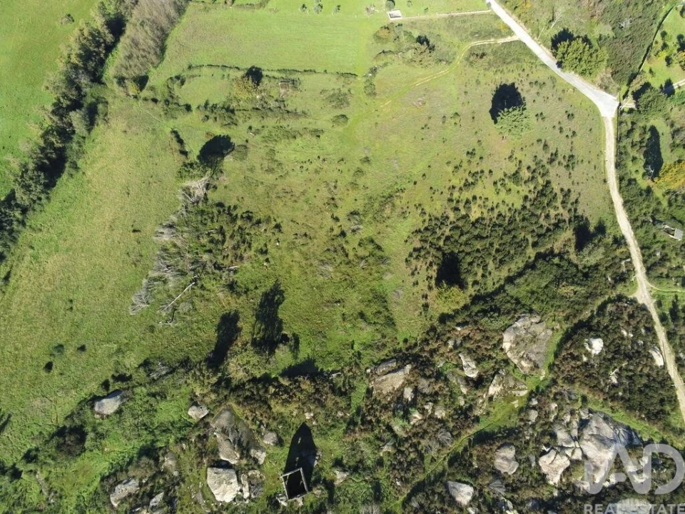 Quinta para Venda em Lagos da Beira e Lajeosa Foto 10