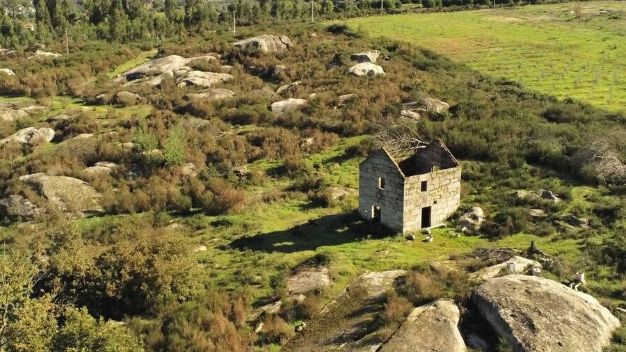 Quinta para Venda em Lagos da Beira e Lajeosa