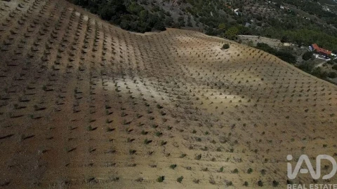Terreno para Venda em Marvila, Ribeira Santarém, São Salvador, São Nicolau