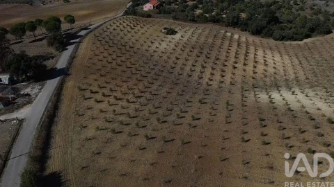 Terreno para Venda em Marvila, Ribeira Santarém, São Salvador, São Nicolau