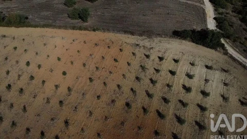 Terreno para Venda em Marvila, Ribeira Santarém, São Salvador, São Nicolau