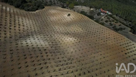 Terreno para Venda em Marvila, Ribeira Santarém, São Salvador, São Nicolau