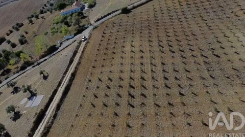 Terreno para Venda em Marvila, Ribeira Santarém, São Salvador, São Nicolau