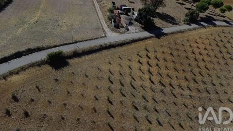 Terreno para Venda em Marvila, Ribeira Santarém, São Salvador, São Nicolau