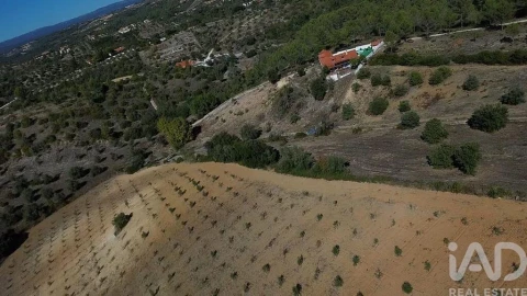 Terreno para Venda em Marvila, Ribeira Santarém, São Salvador, São Nicolau