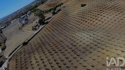 Terreno para Venda em Marvila, Ribeira Santarém, São Salvador, São Nicolau
