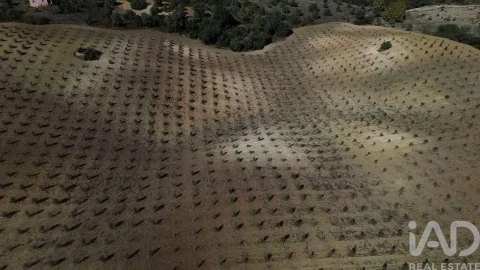 Terreno para Venda em Marvila, Ribeira Santarém, São Salvador, São Nicolau
