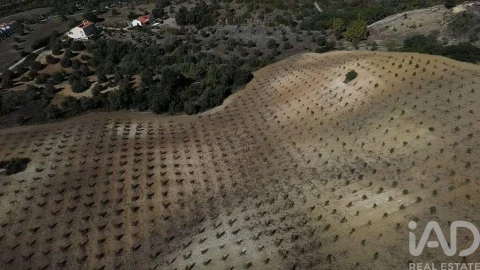 Terreno para Venda em Marvila, Ribeira Santarém, São Salvador, São Nicolau