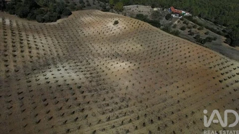 Terreno para Venda em Marvila, Ribeira Santarém, São Salvador, São Nicolau