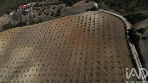 Terreno para Venda em Marvila, Ribeira Santarém, São Salvador, São Nicolau