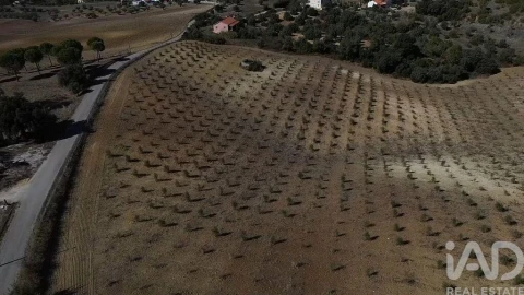Terreno para Venda em Marvila, Ribeira Santarém, São Salvador, São Nicolau