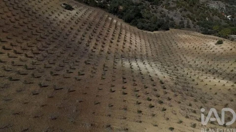 Terreno para Venda em Marvila, Ribeira Santarém, São Salvador, São Nicolau