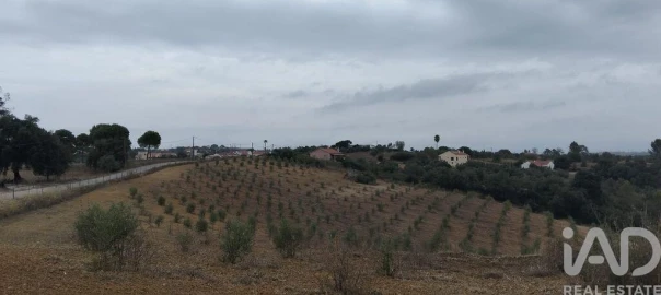 Terreno para Venda em Marvila, Ribeira Santarém, São Salvador, São Nicolau