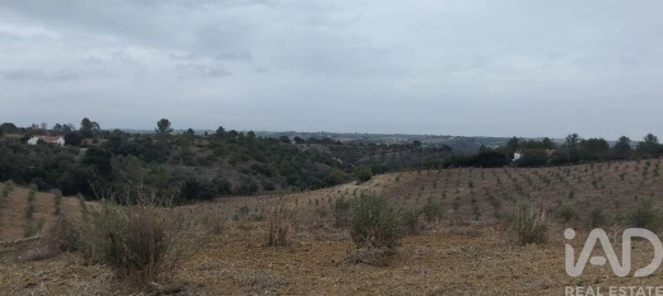 Terreno para Venda em Marvila, Ribeira Santarém, São Salvador, São Nicolau