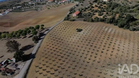 Terreno para Venda em Marvila, Ribeira Santarém, São Salvador, São Nicolau