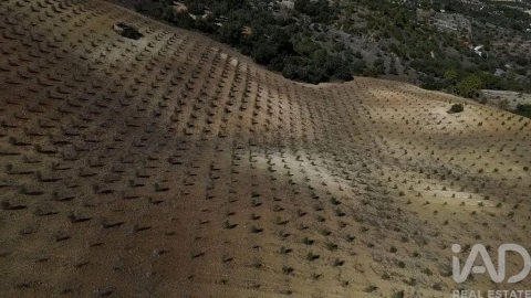 Terreno para Venda em Marvila, Ribeira Santarém, São Salvador, São Nicolau