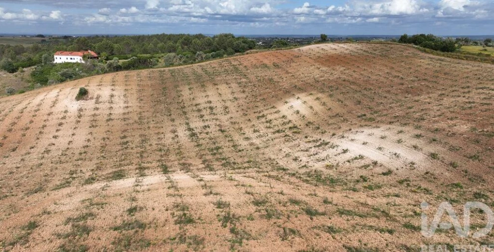Terreno para Venda em Marvila, Ribeira Santarém, São Salvador, São Nicolau Foto 2