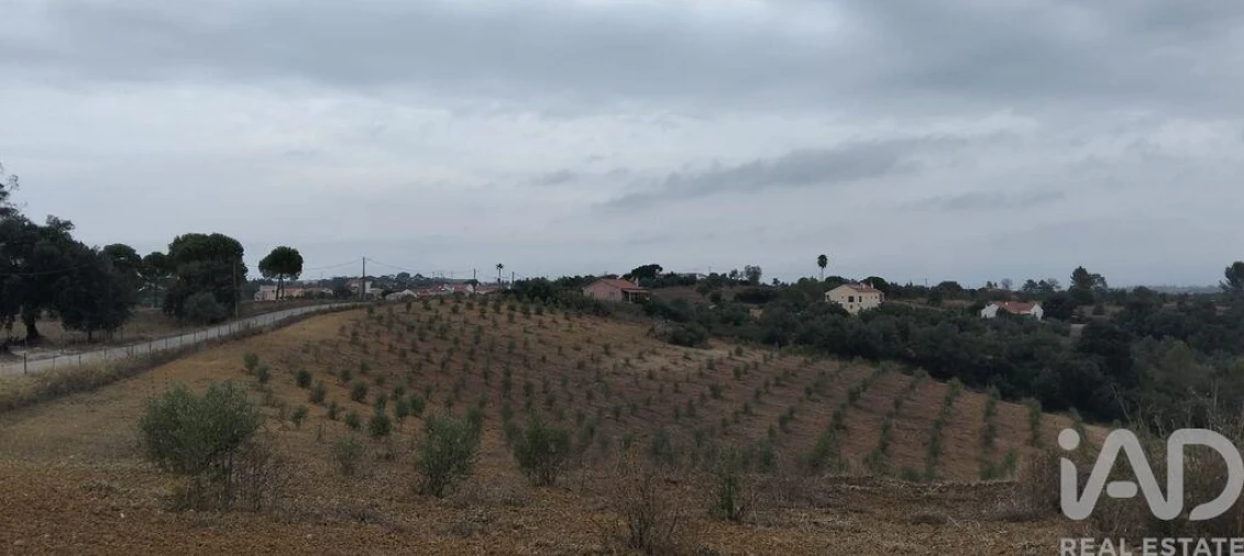 Terreno para Venda em Marvila, Ribeira Santarém, São Salvador, São Nicolau Foto 4
