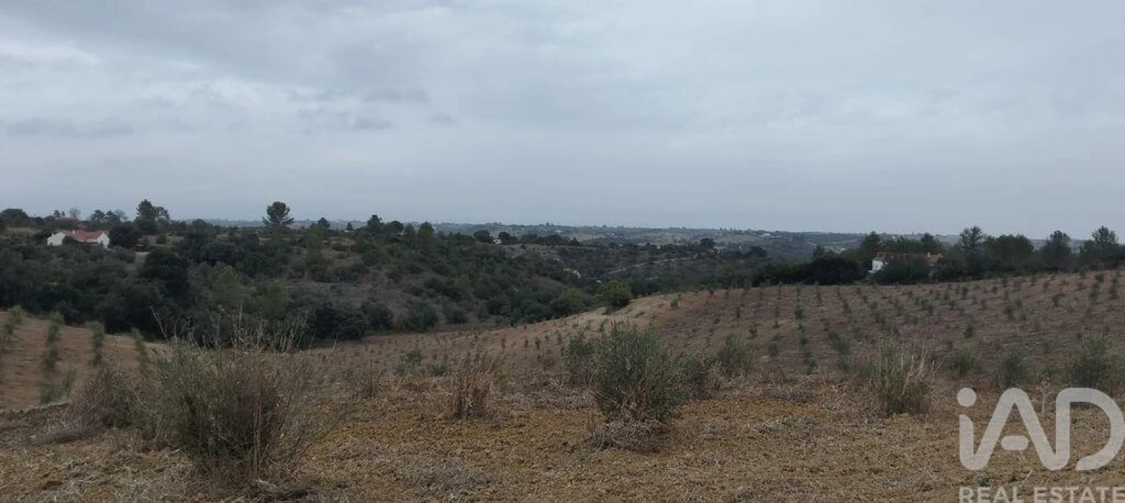Terreno para Venda em Marvila, Ribeira Santarém, São Salvador, São Nicolau Foto 1