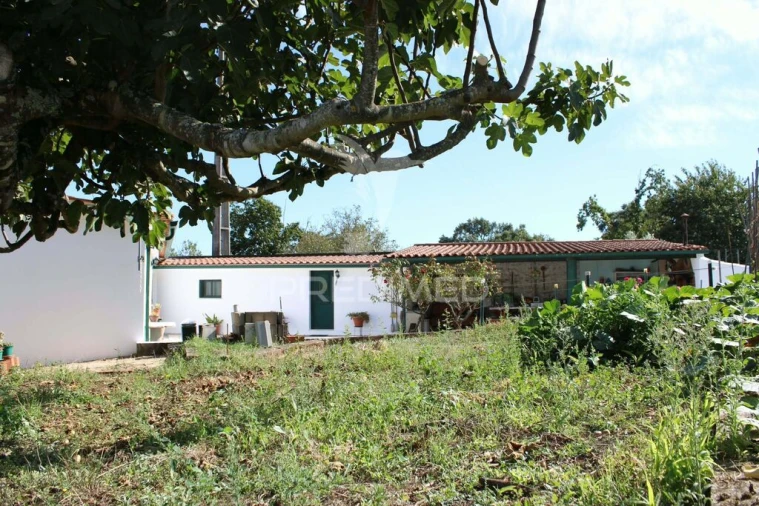 Moradia T3 para Venda em Aguas Belas Foto 13