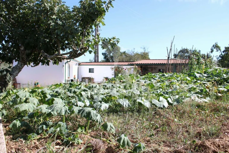 Moradia T3 para Venda em Aguas Belas Foto 14