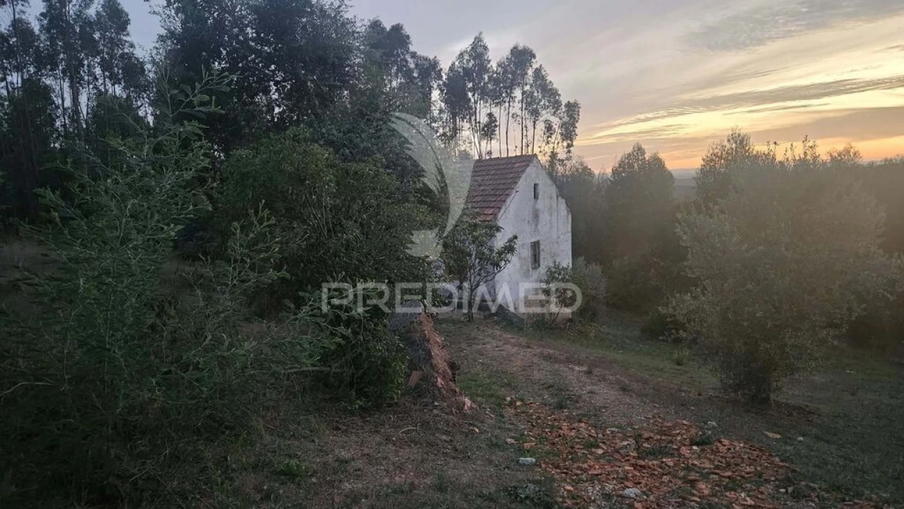 Moradia T3 para Venda em Nossa Senhora do Pranto Foto 4