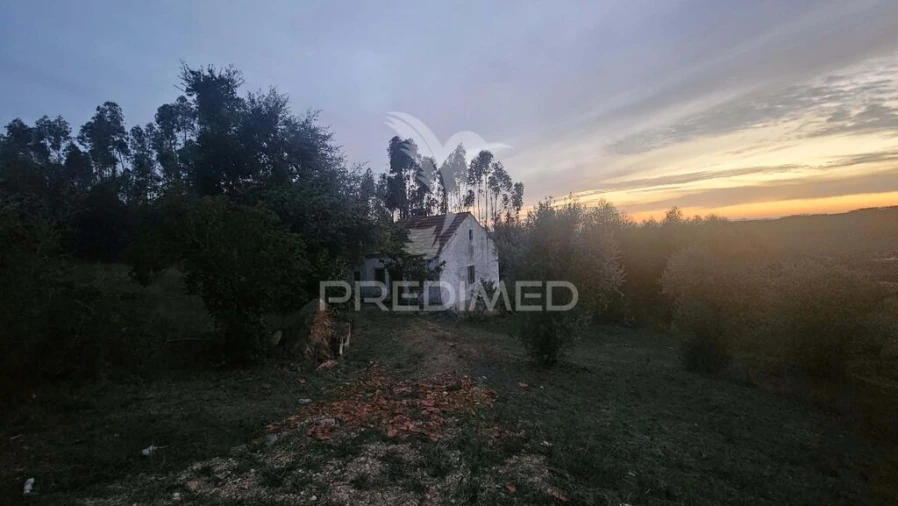 Moradia T3 para Venda em Nossa Senhora do Pranto Foto 5