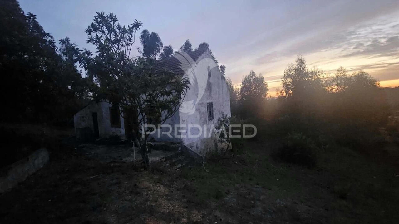 Moradia T3 para Venda em Nossa Senhora do Pranto Foto 3