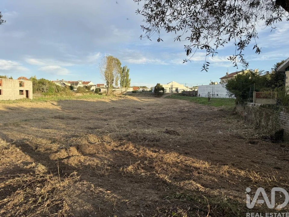 Terreno para Venda em Ílhavo (São Salvador) Foto 1