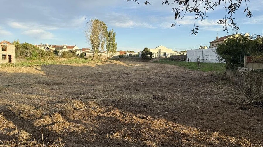 Terreno para Venda em Ílhavo (São Salvador)