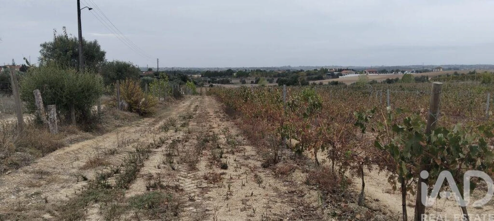 Quinta para Venda em São Vicente do Paul e Vale de Figueira Foto 34