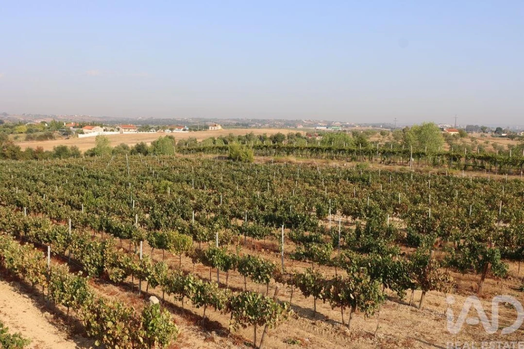 Quinta para Venda em São Vicente do Paul e Vale de Figueira Foto 19