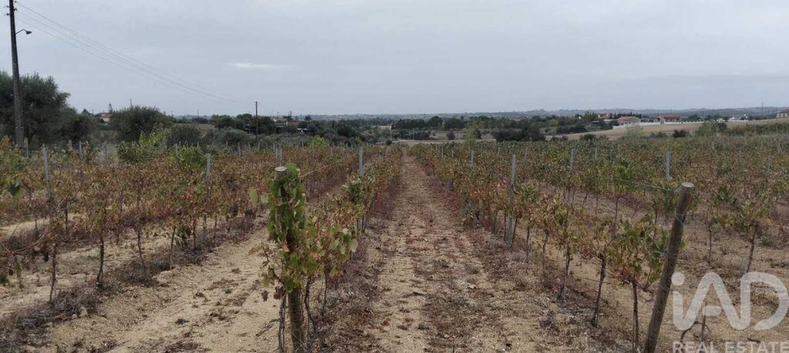 Quinta para Venda em São Vicente do Paul e Vale de Figueira Foto 33