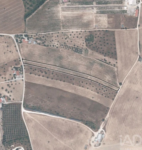 Quinta para Venda em São Vicente do Paul e Vale de Figueira
