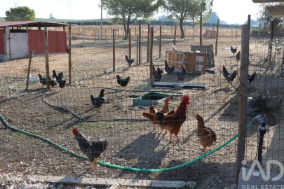 Quinta para Venda em São Vicente do Paul e Vale de Figueira