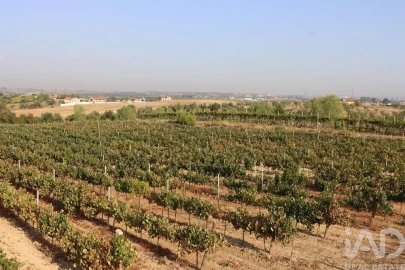 Quinta para Venda em São Vicente do Paul e Vale de Figueira
