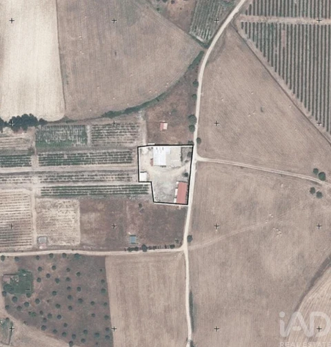 Quinta para Venda em São Vicente do Paul e Vale de Figueira