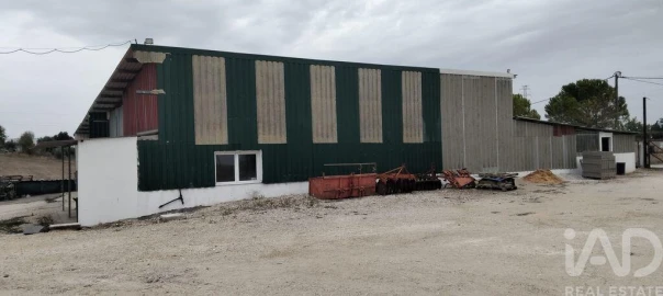 Quinta para Venda em São Vicente do Paul e Vale de Figueira