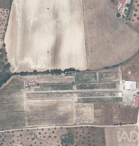 Quinta para Venda em São Vicente do Paul e Vale de Figueira